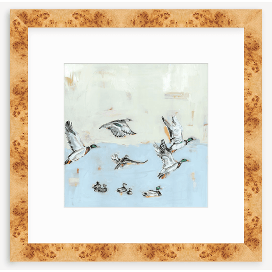 Taking Off Mallard Ducks Fine Art Print