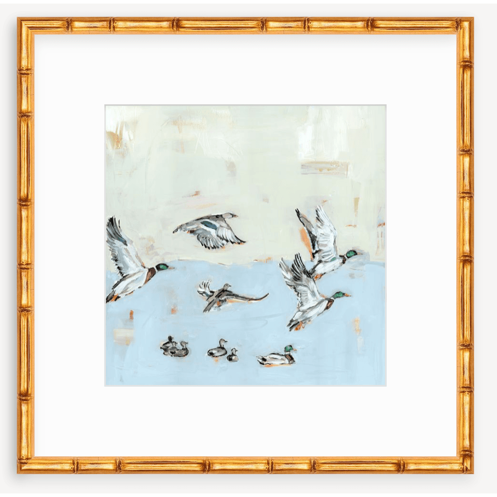 Taking Off Mallard Ducks Fine Art Print