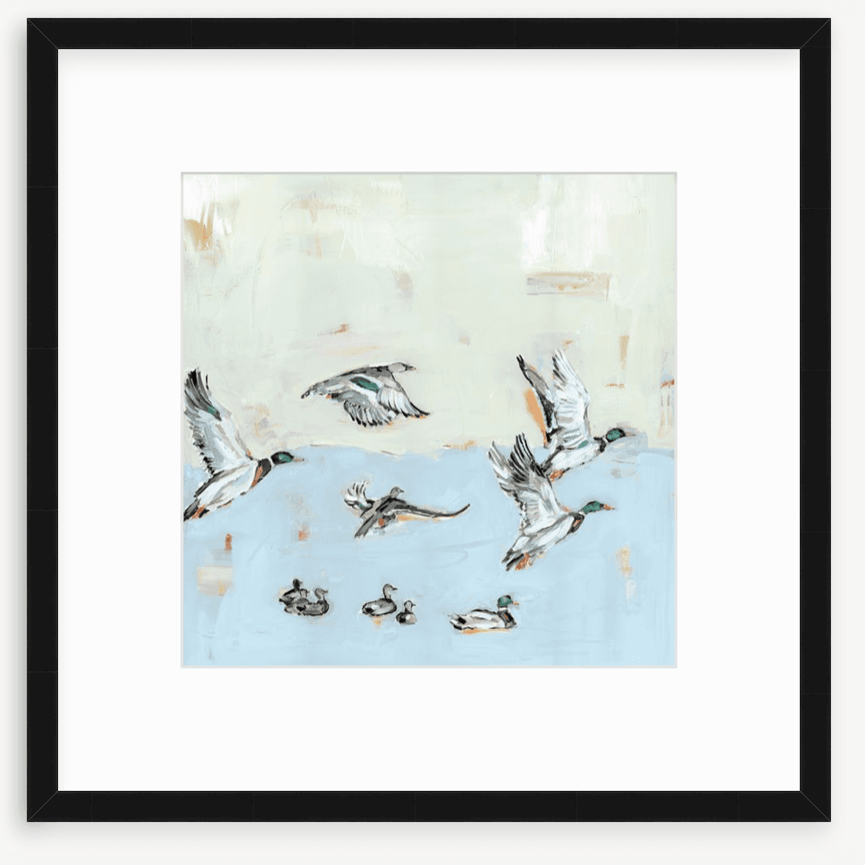 Taking Off Mallard Ducks Fine Art Print