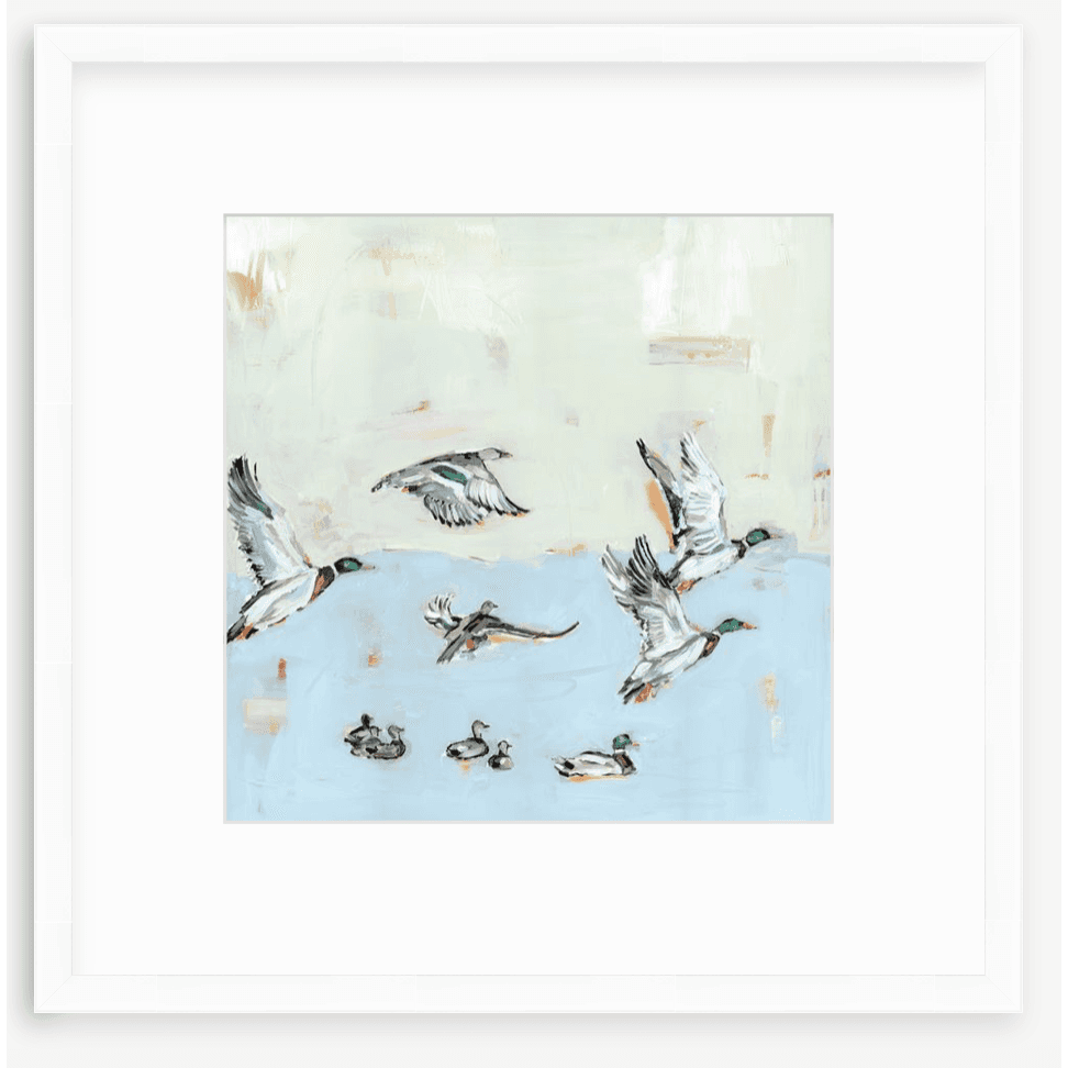Taking Off Mallard Ducks Fine Art Print