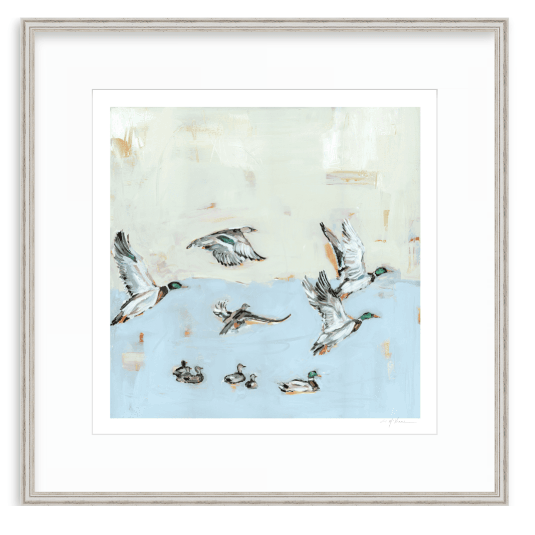 Taking Off Mallard Ducks Fine Art Print