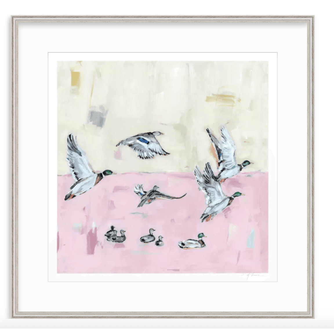 Taking Off Pink Ducks Fine Art Print