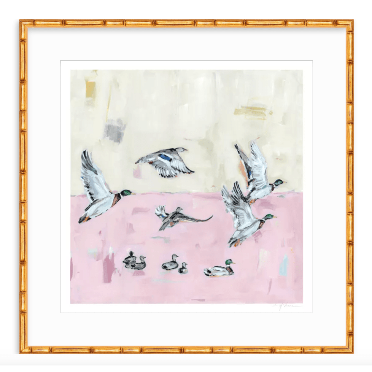 Taking Off Pink Ducks Fine Art Print