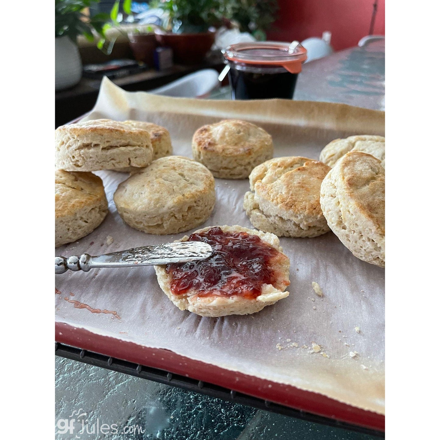 gfJules Gluten Free Corn-Free Multigrain Biscuit & Breakfast Baking Flour