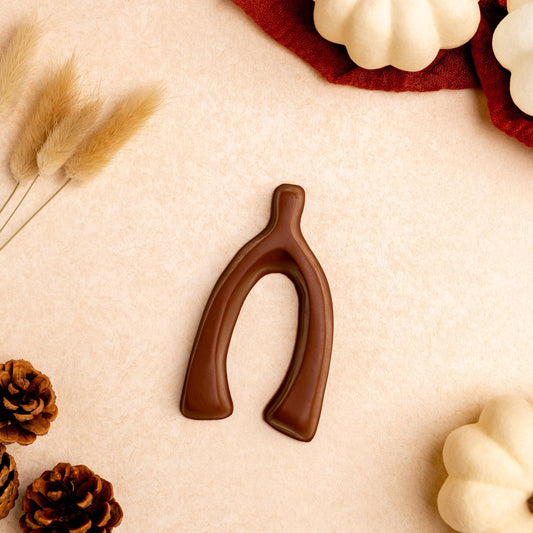 a chocolate horseshoe with pine cones and white pumpkins