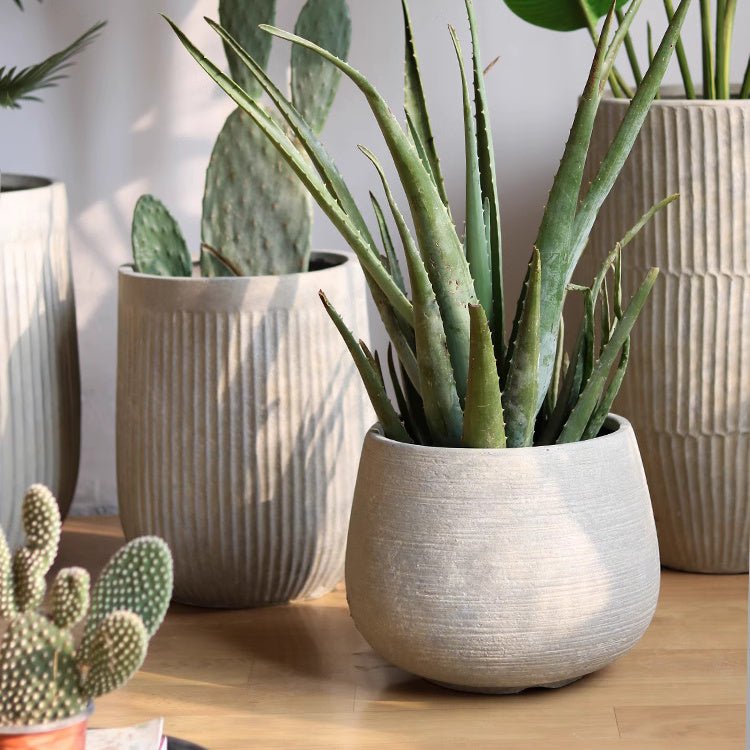 Rustic Globe Cement Planter
