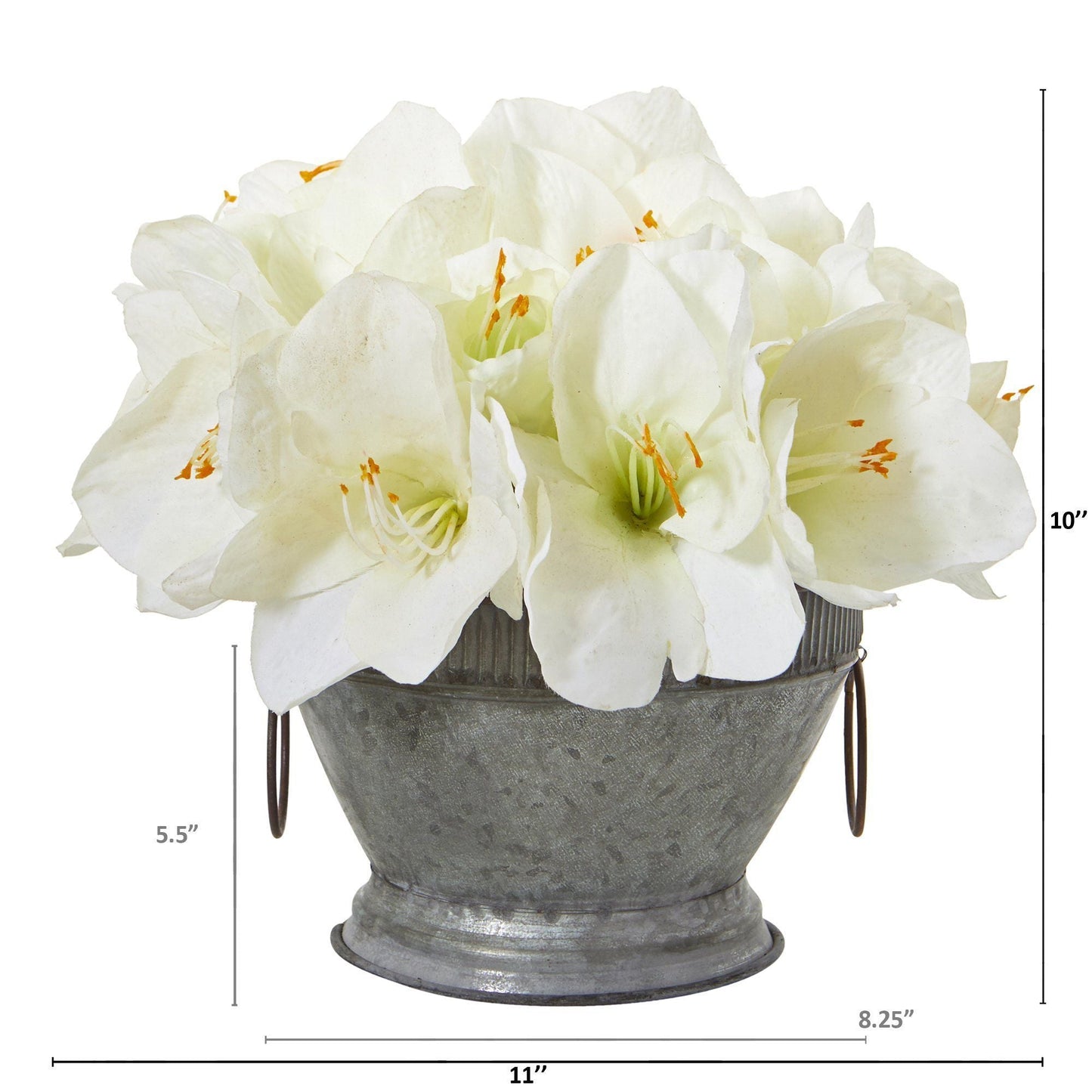 10” Amaryllis Arrangement in Bowl with Copper Trimming