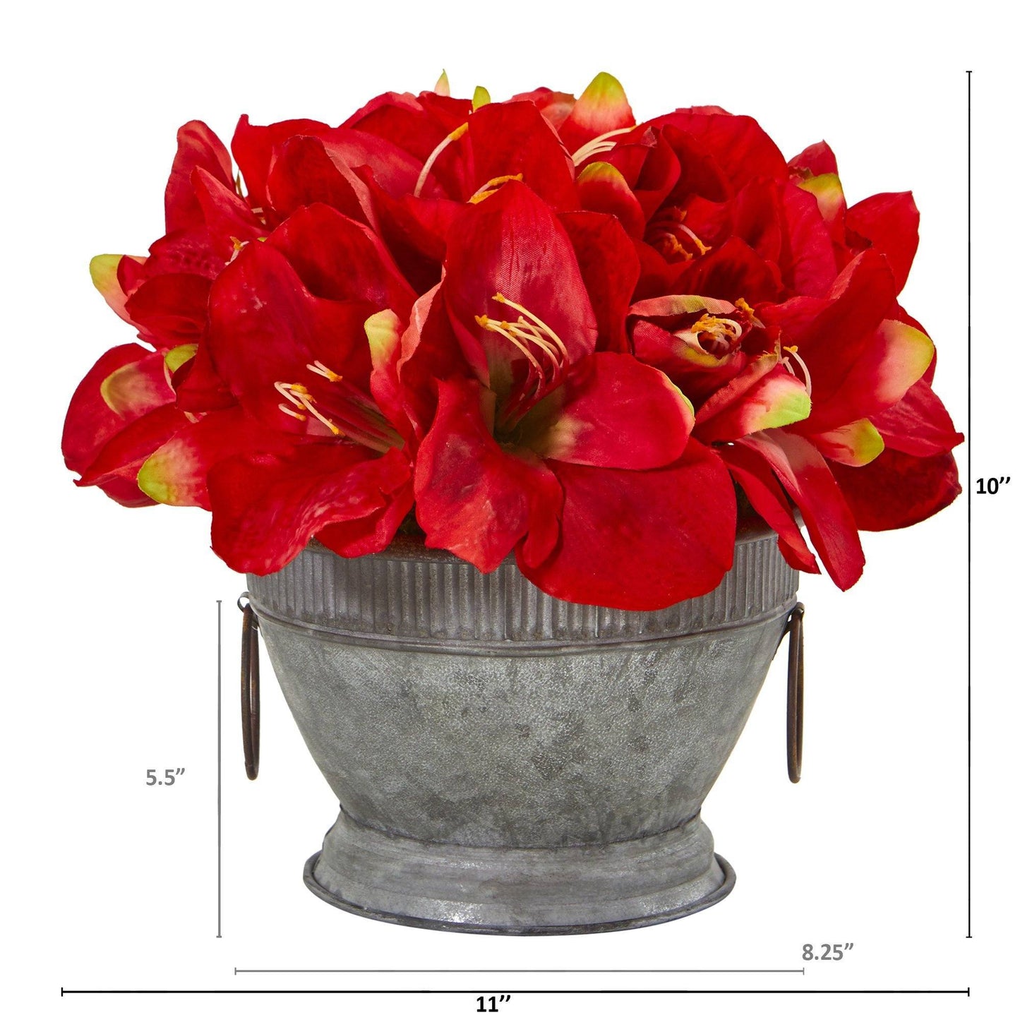 10” Amaryllis Arrangement in Bowl with Copper Trimming
