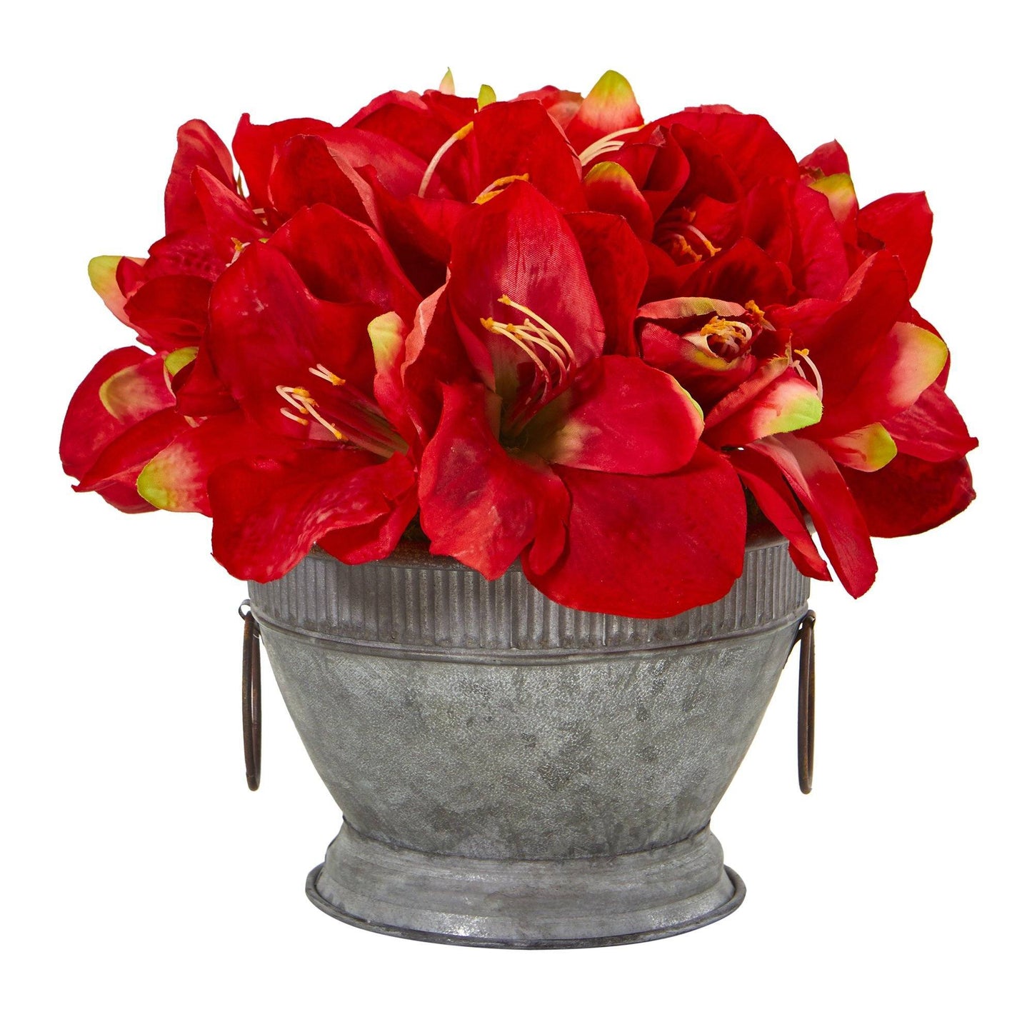 10” Amaryllis Arrangement in Bowl with Copper Trimming