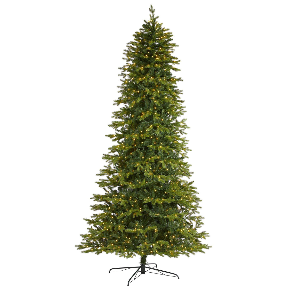 a christmas tree with lights