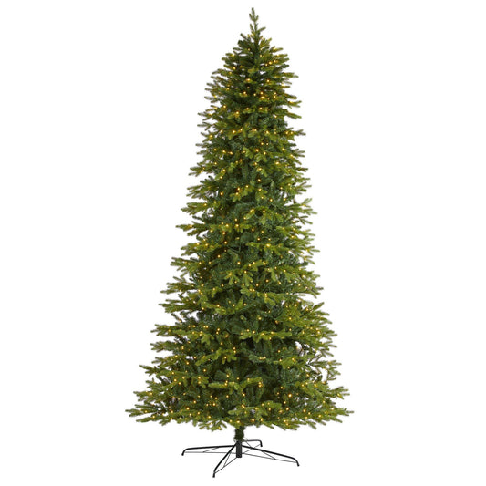 a christmas tree with lights