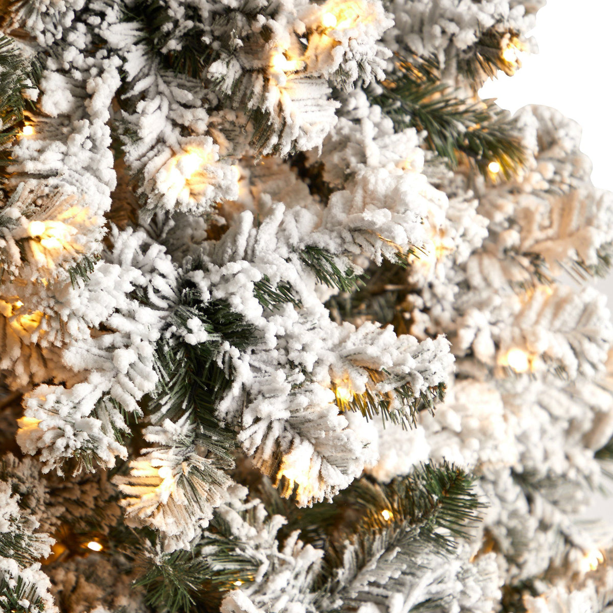 a close up of a christmas tree