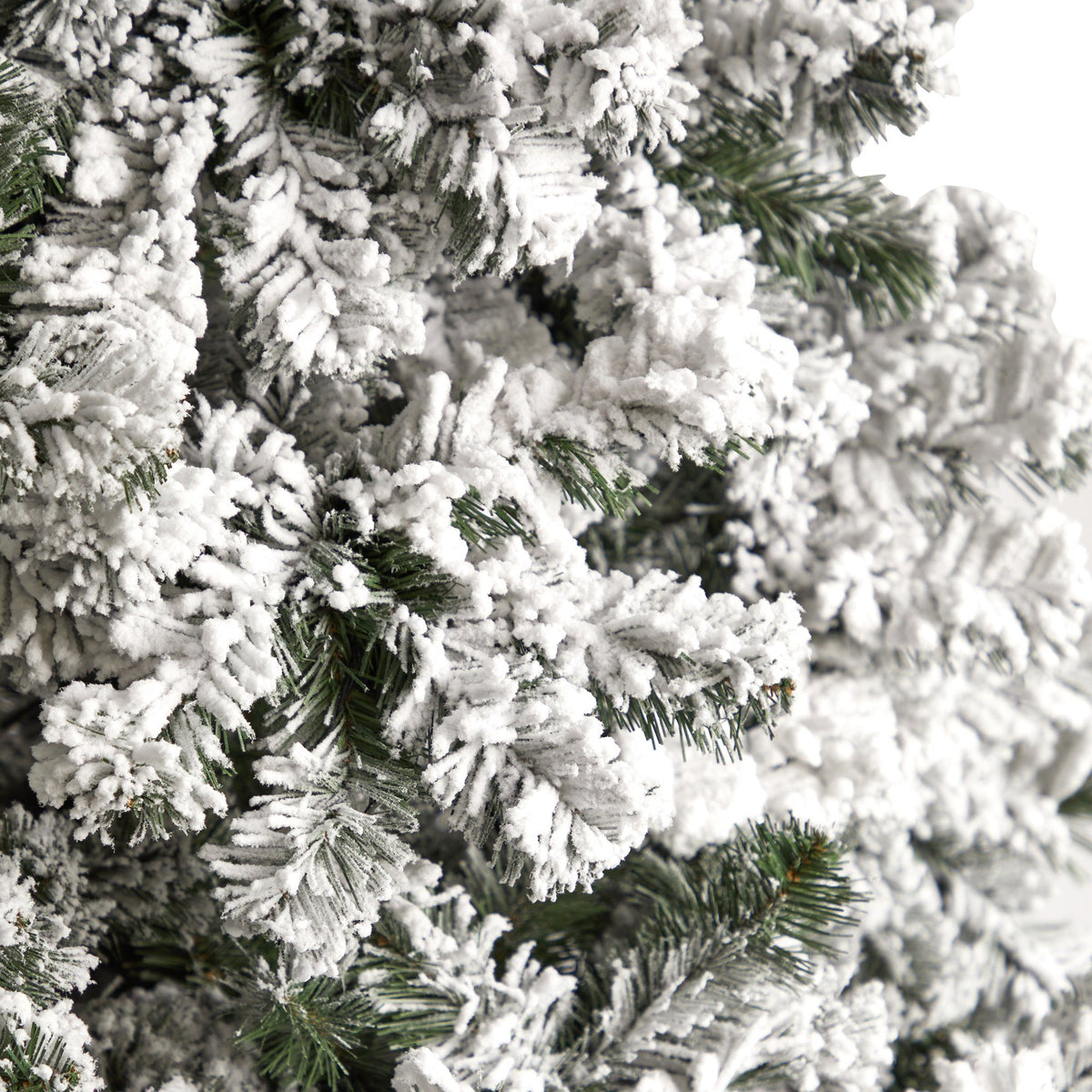 a close up of a tree