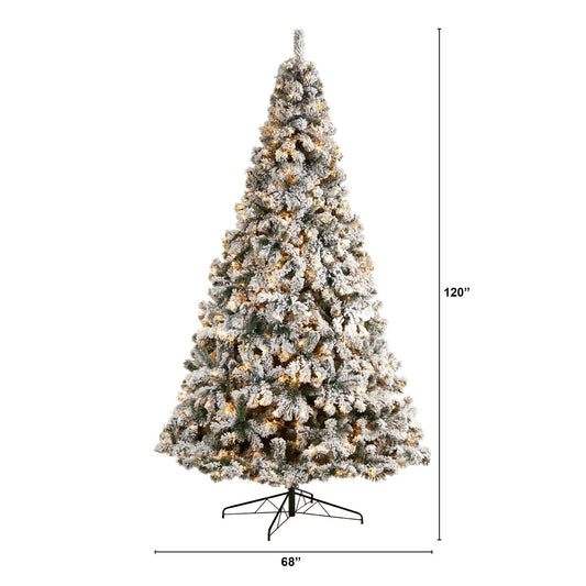 a tall christmas tree with lights