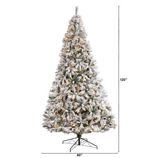 a tall christmas tree with lights and a height chart