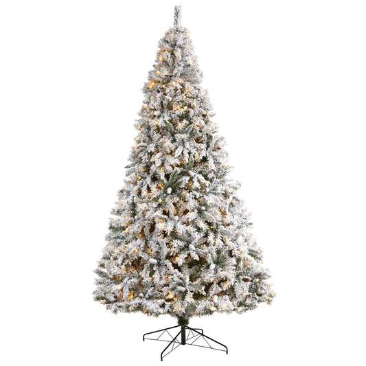 a christmas tree with snow on it