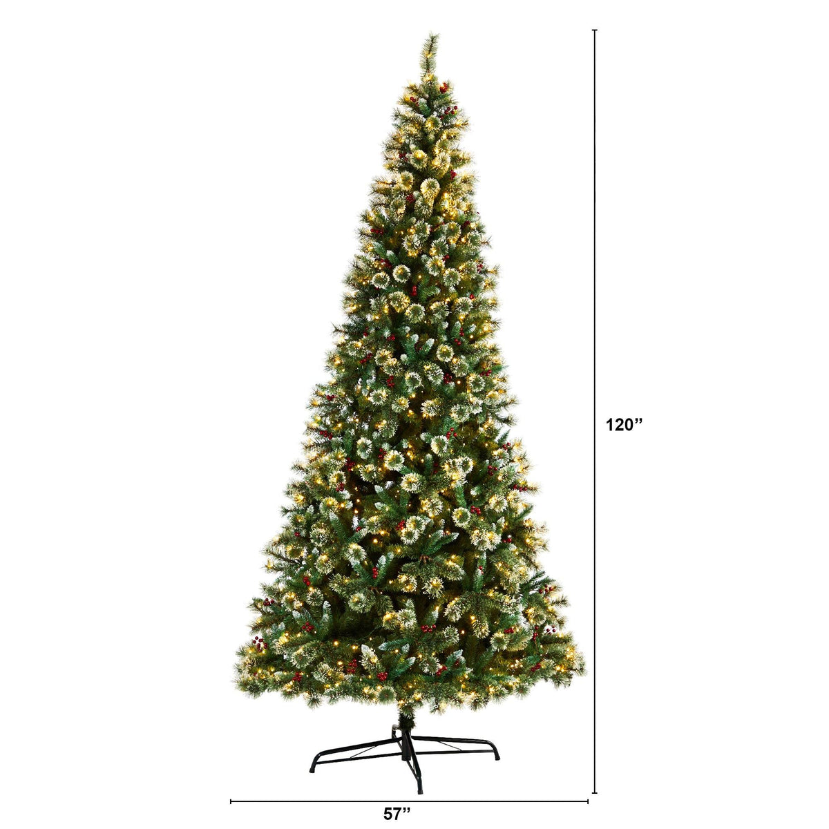 a tall christmas tree with a height chart