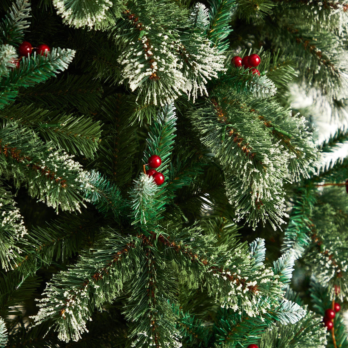 a close up of a christmas tree
