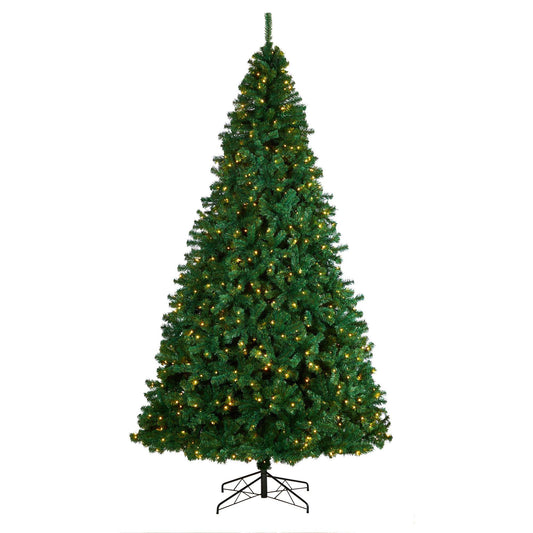 a christmas tree with lights
