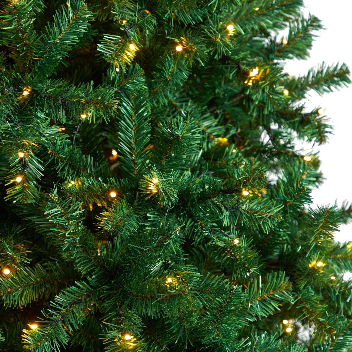 a close up of a christmas tree
