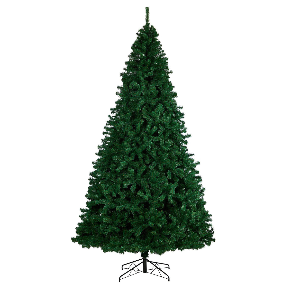 a christmas tree with lights