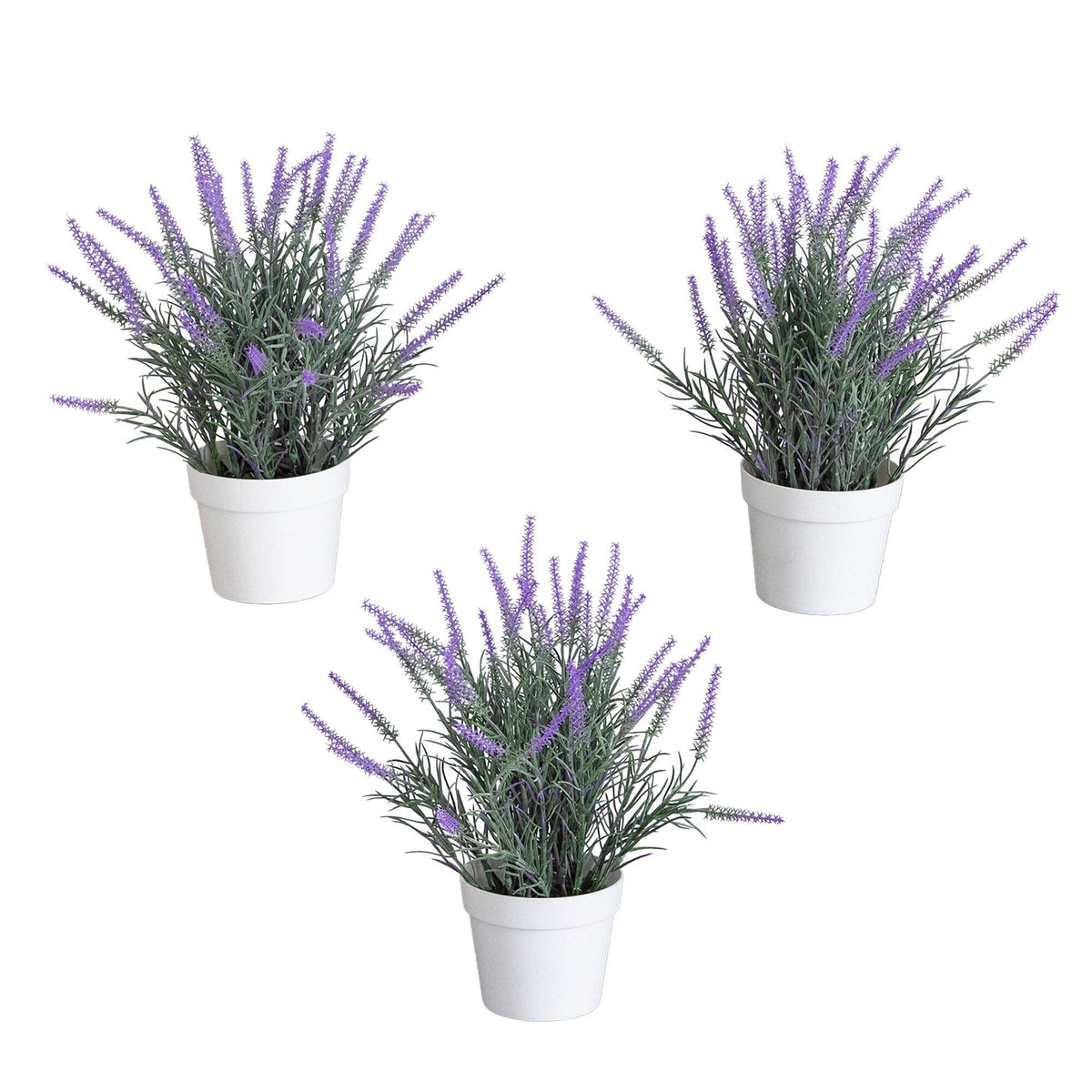 a group of purple flowers in a white pot