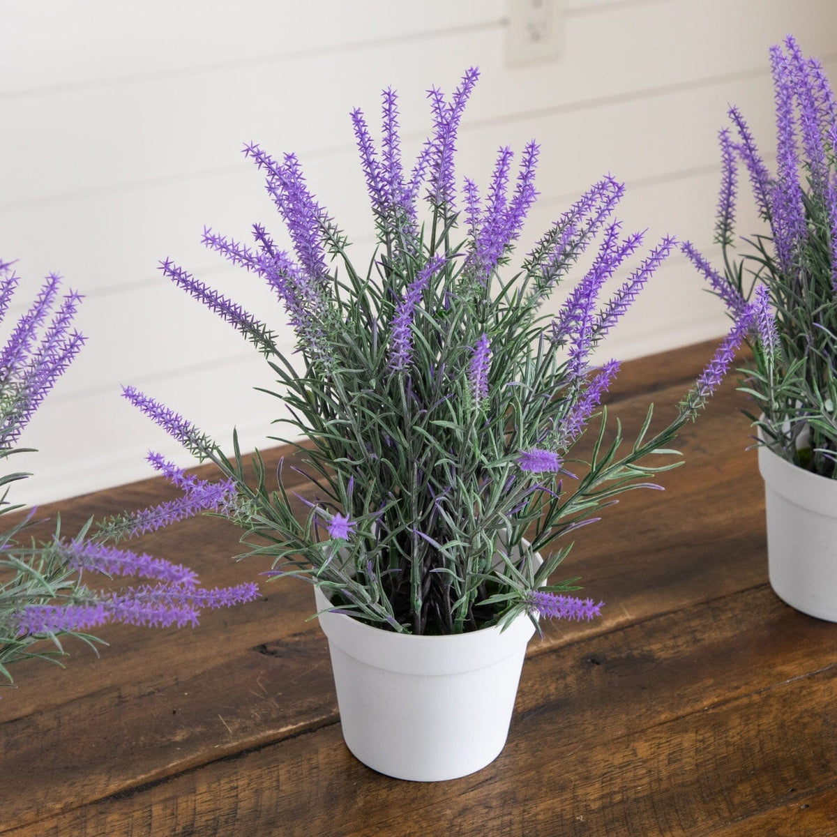 a group of purple flowers in a white pot