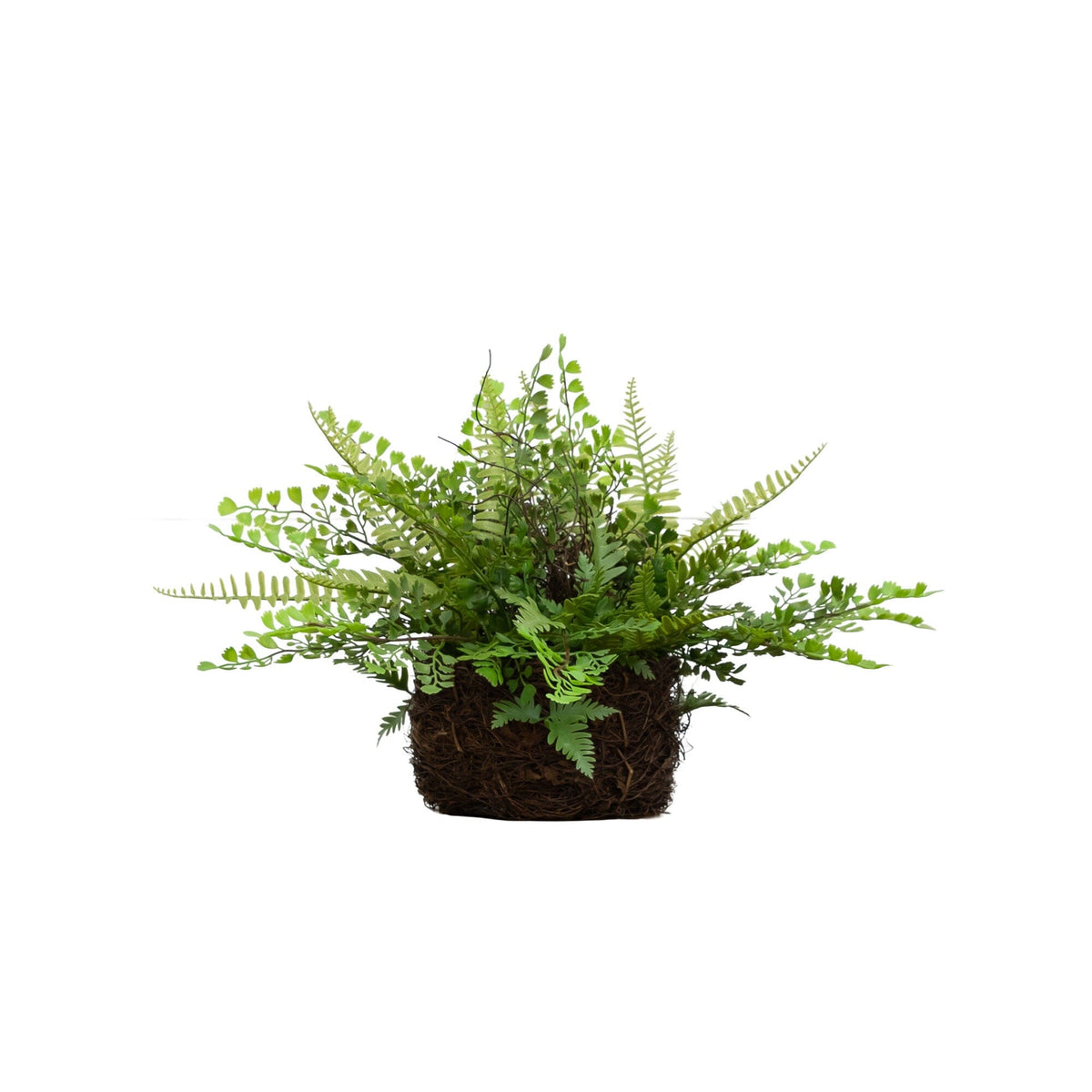 11" Artificial Mixed Fern Plant with Twig and Moss Basket