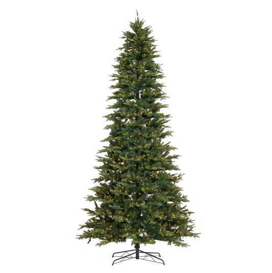 a christmas tree with lights