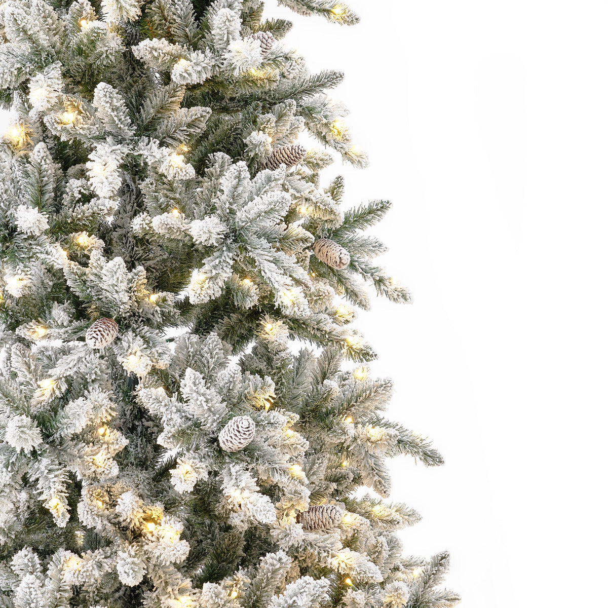 a close up of a christmas tree