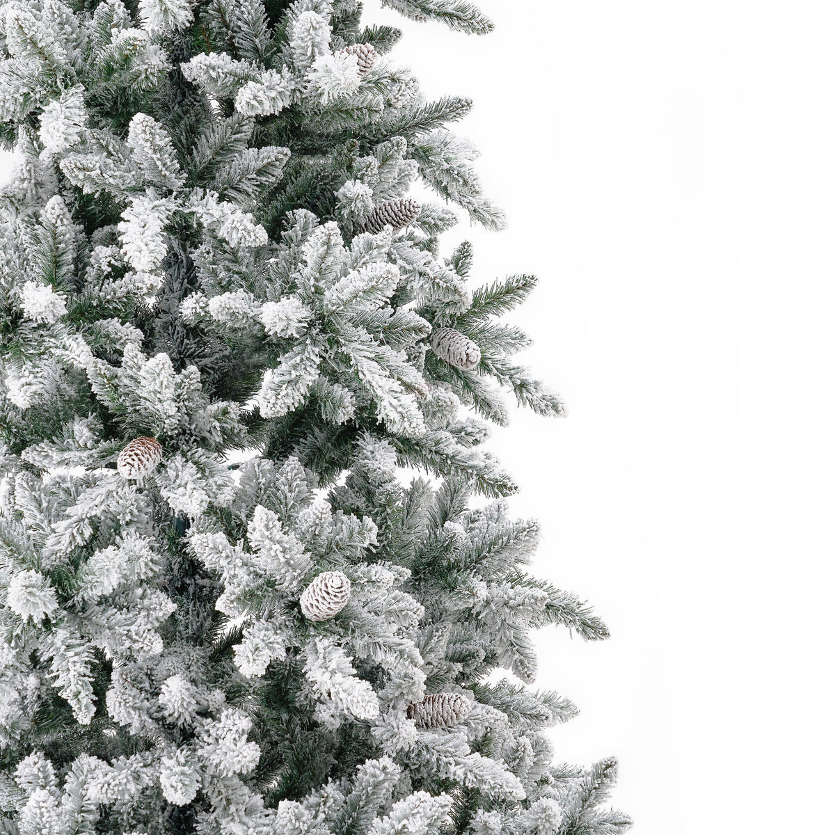 a close up of a tree