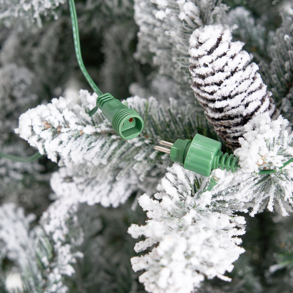 a green light cord on a pine tree