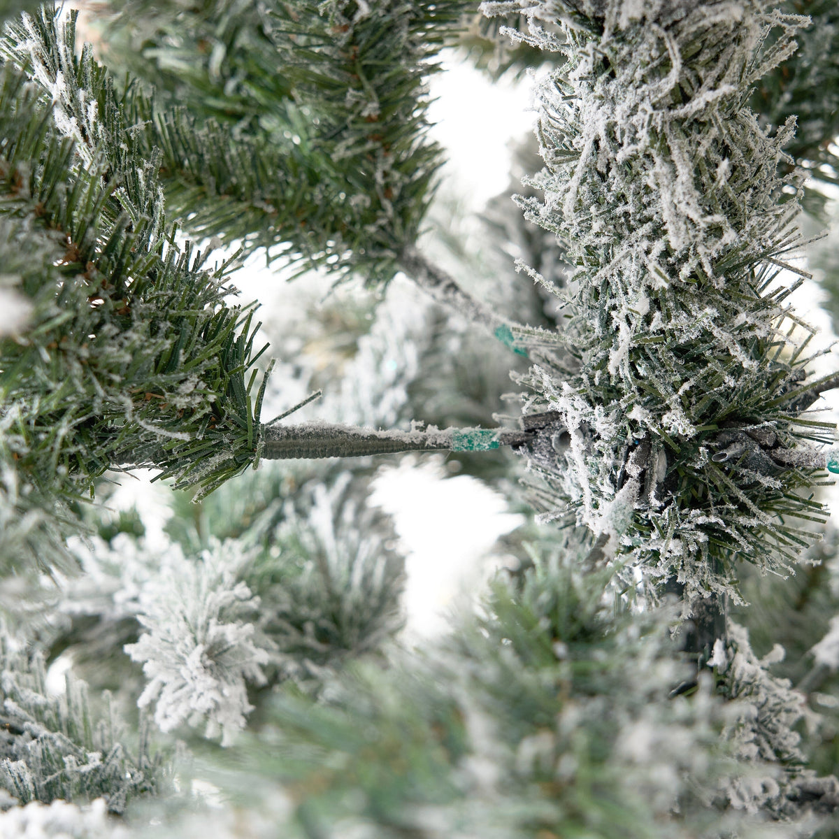 a close up of a tree branch