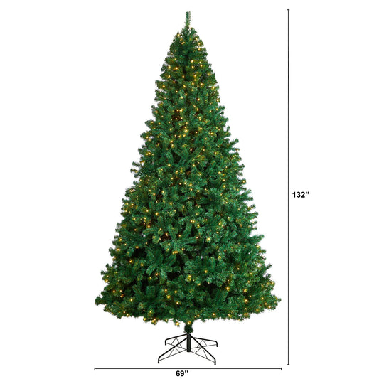 a tall christmas tree with lights
