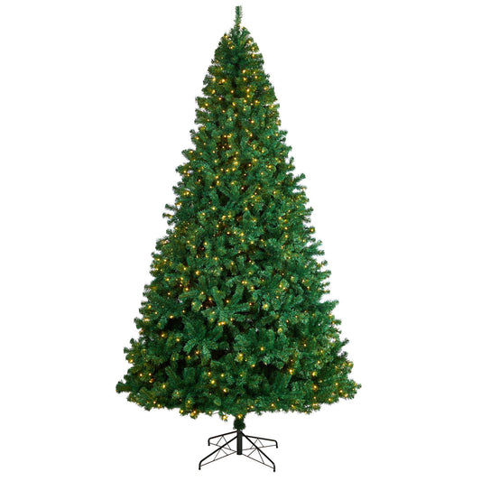 a christmas tree with lights