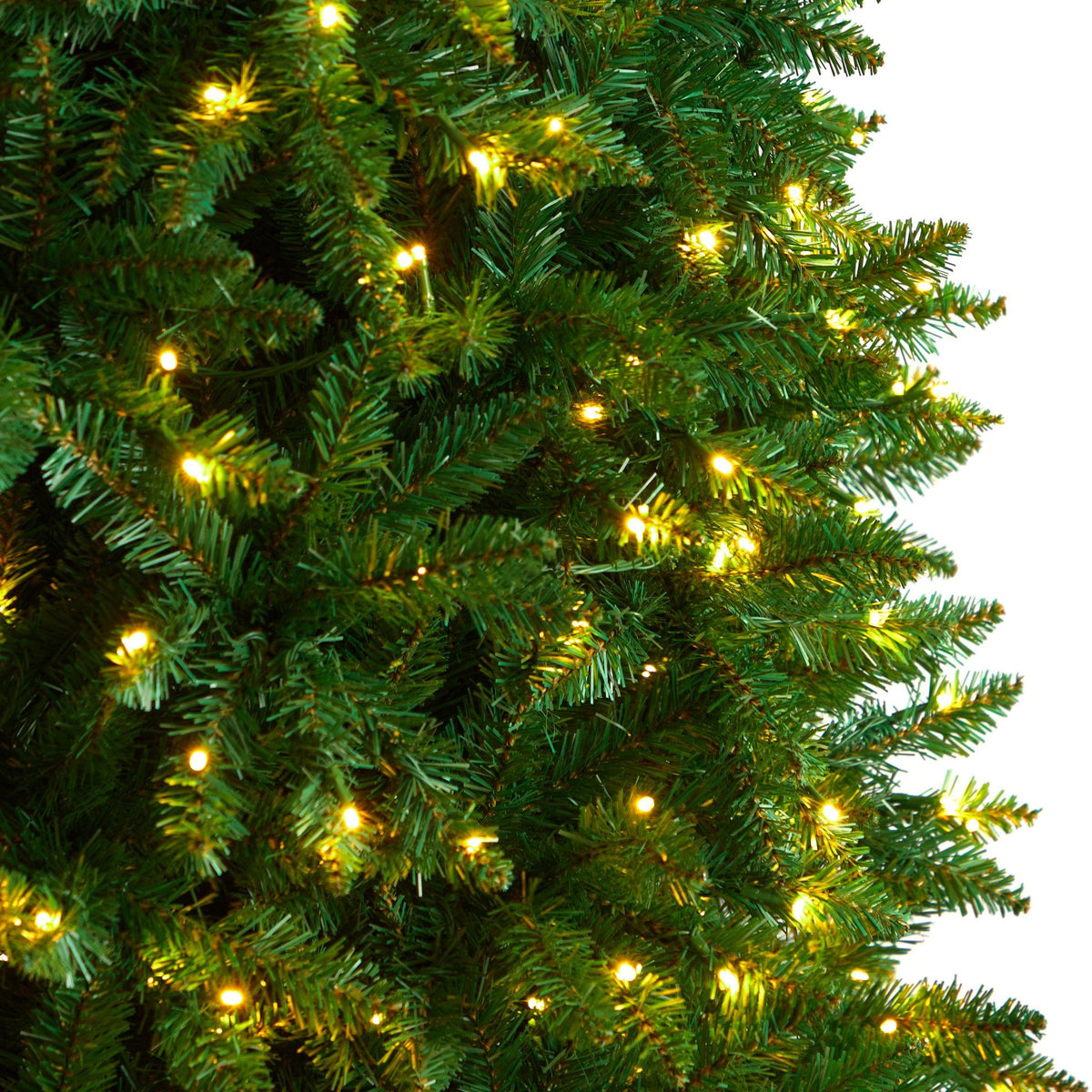 a close up of a christmas tree