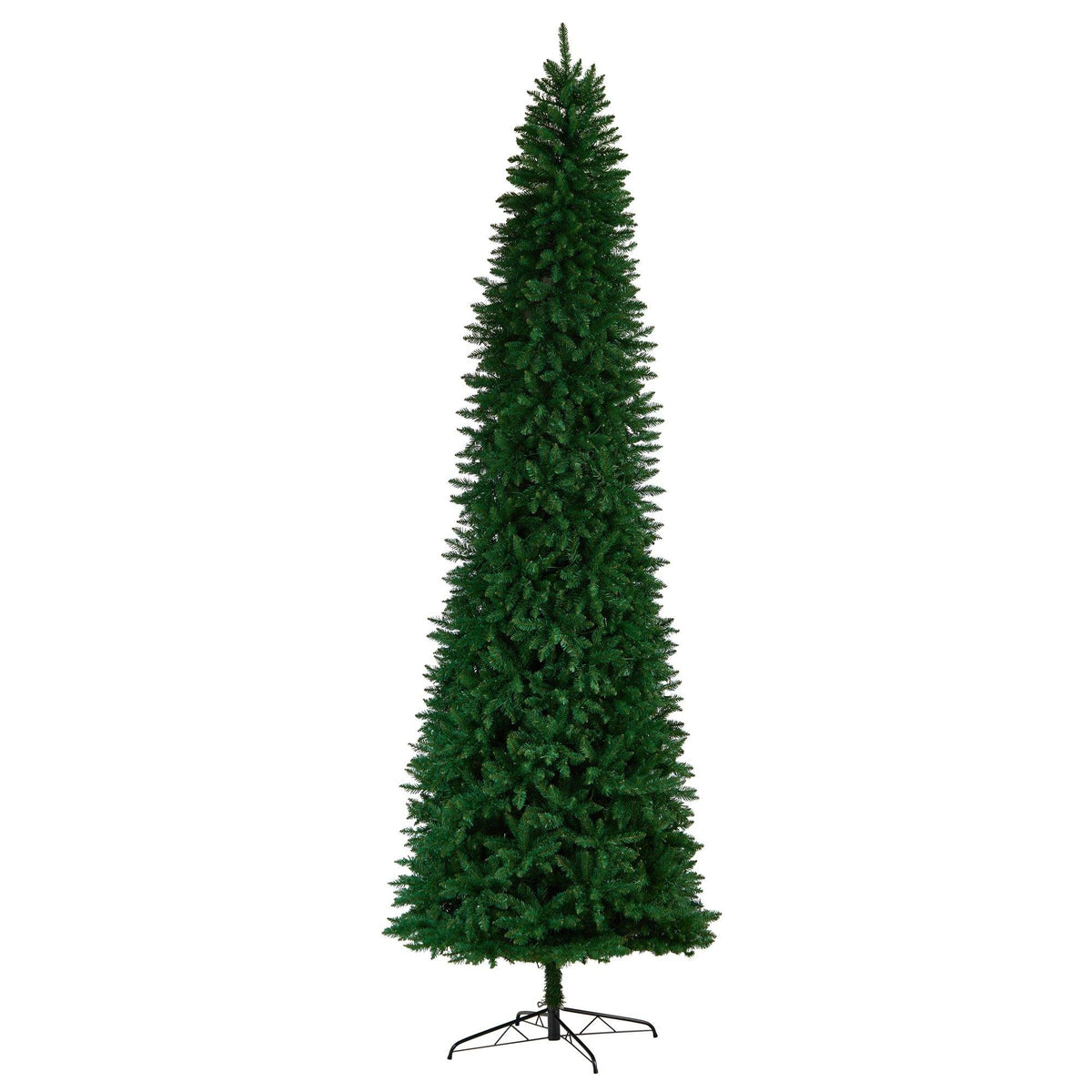 a tall green tree with a white background