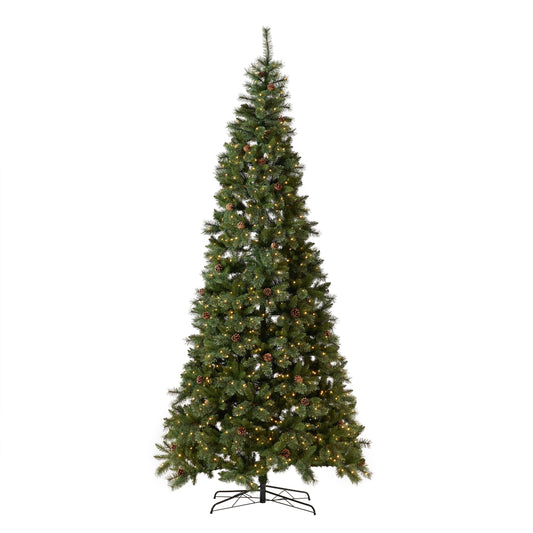 a christmas tree with lights