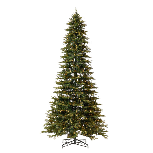 a christmas tree with lights