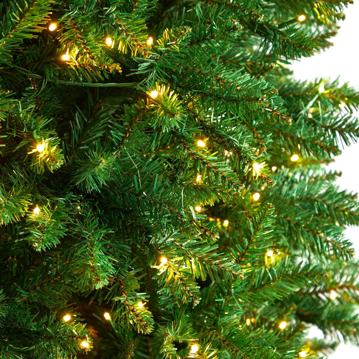 a close up of a christmas tree