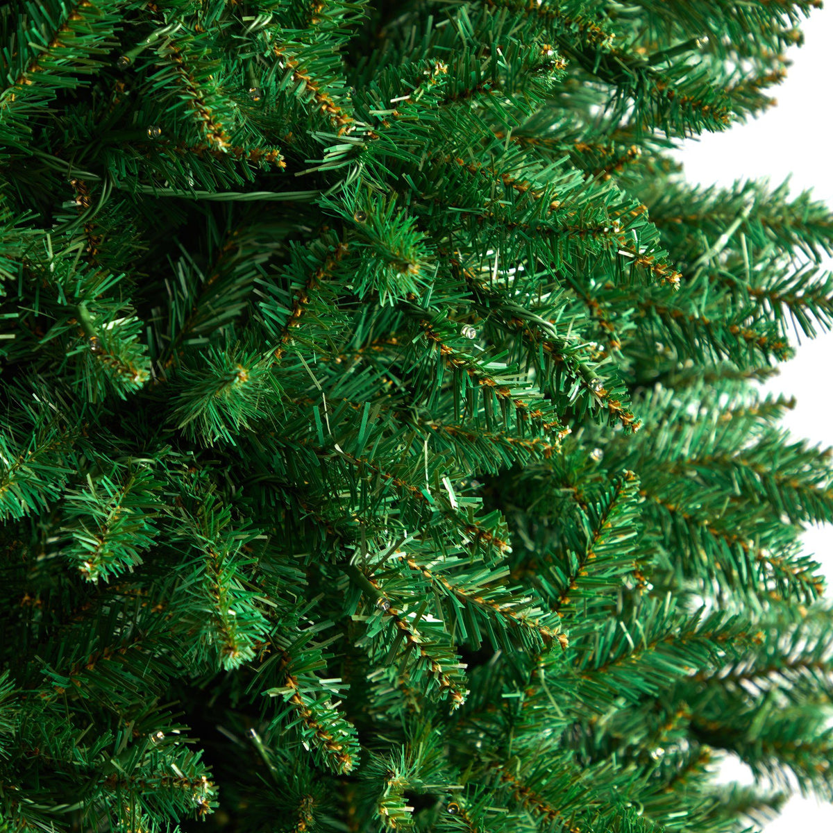 a close up of a christmas tree