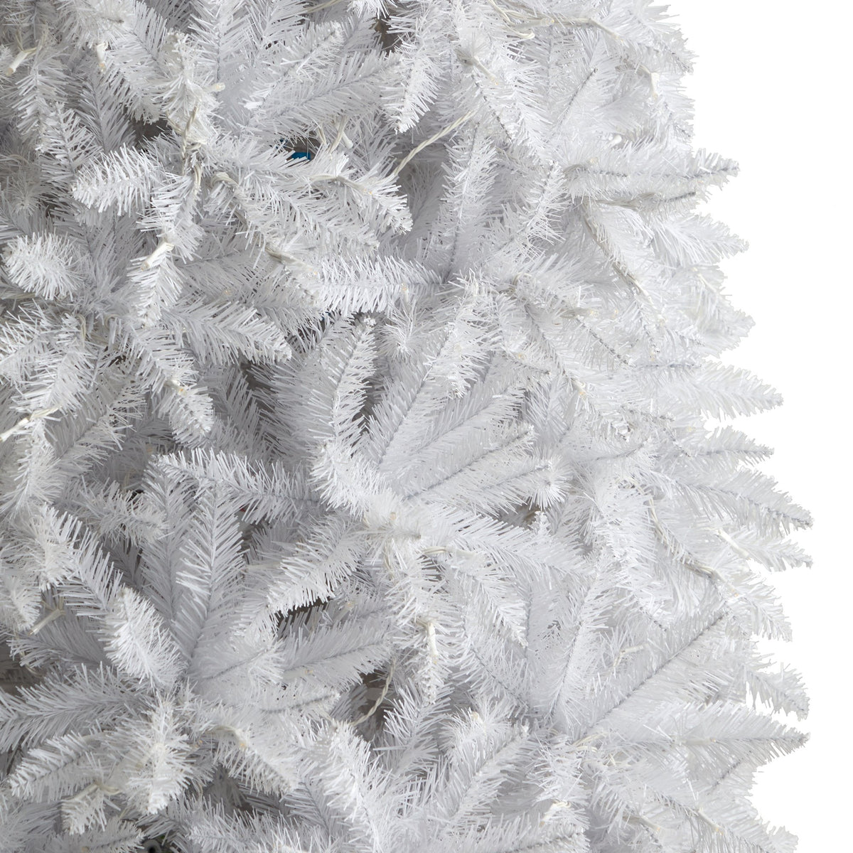a close up of a white tree