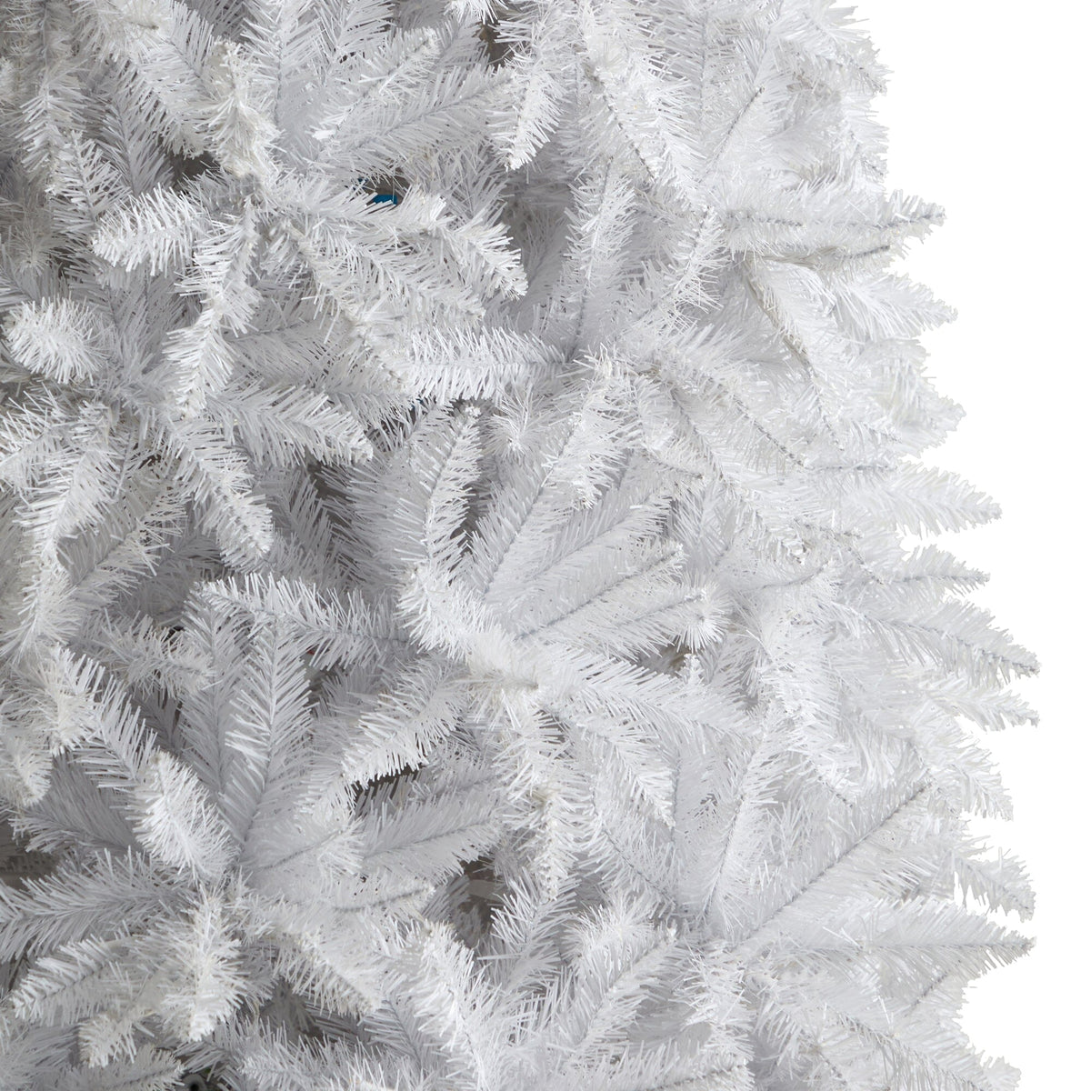 a close up of a white tree