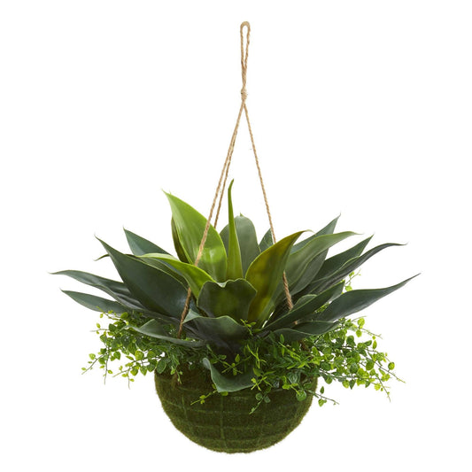 a plant in a pot