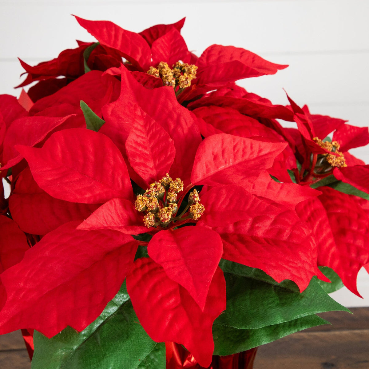 a red poinsettia in a red pot
