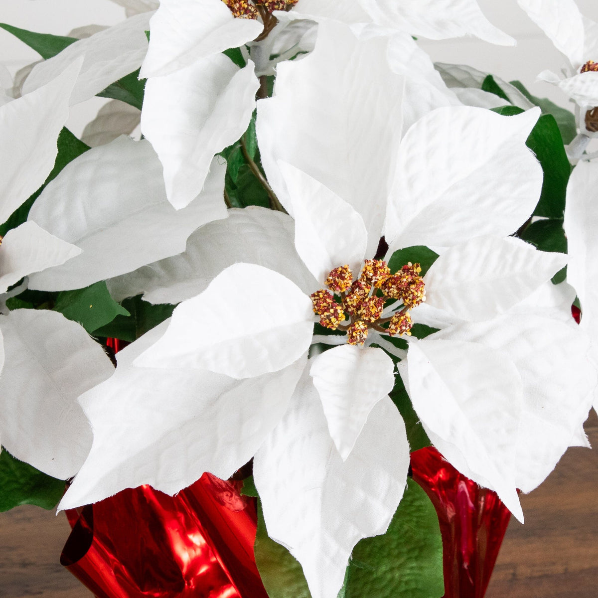a white flower in a red vase