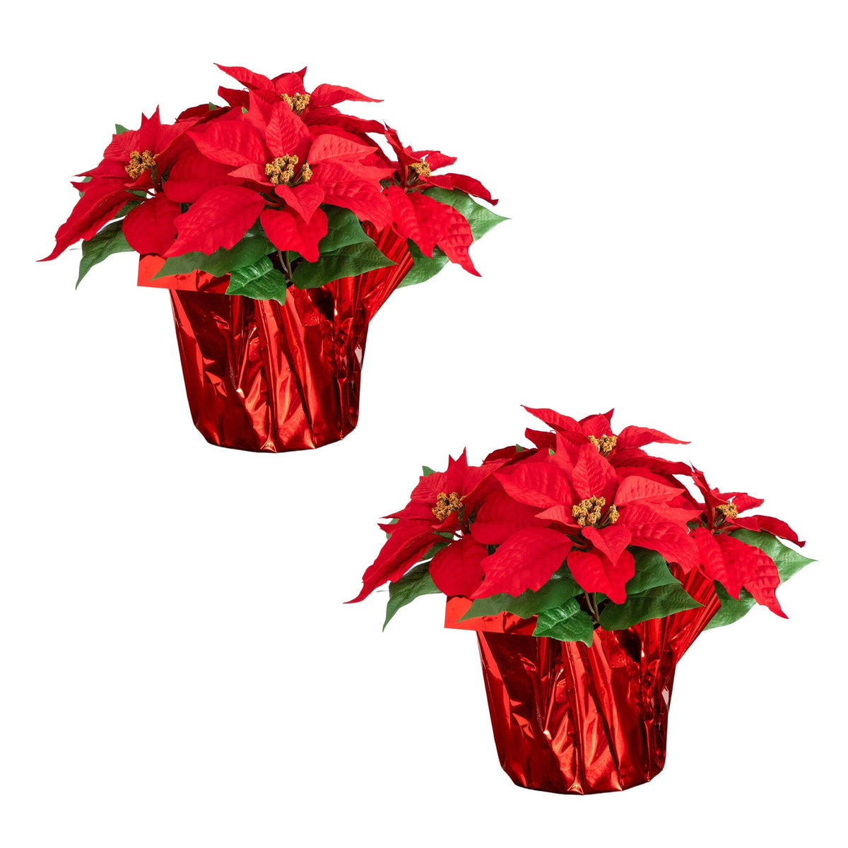 a red poinsettia in a pot