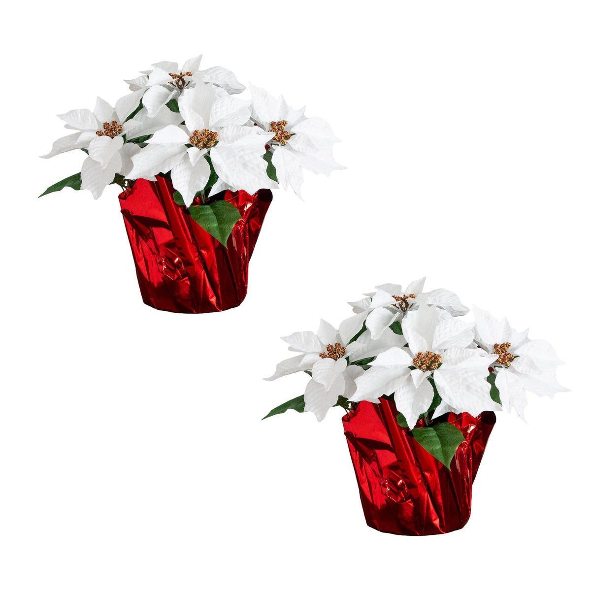 a pair of white flowers in red wrappers
