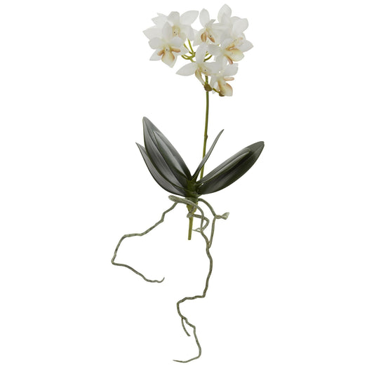a white flower with green leaves