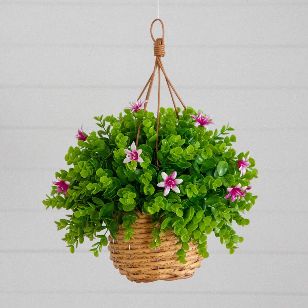 a plant in a basket
